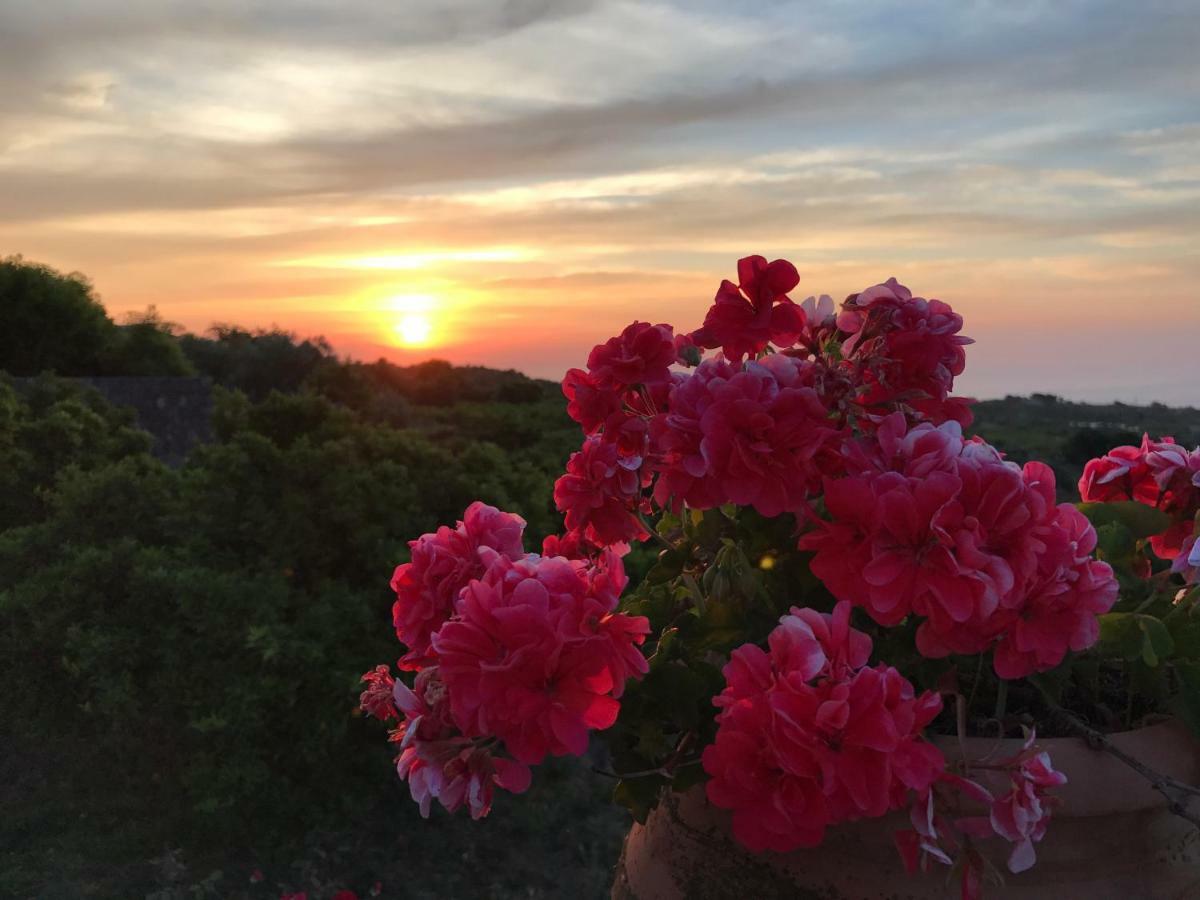 Agrume Country House Santa Venerina Εξωτερικό φωτογραφία