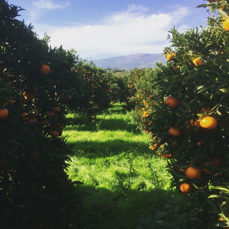Agrume Country House Santa Venerina Εξωτερικό φωτογραφία
